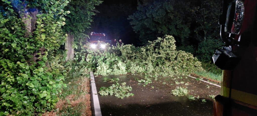 Ein im Sturm umgefallener Baum blockiert eine Straße, kurz nachdem die Feuerwehr eingetroffen ist.