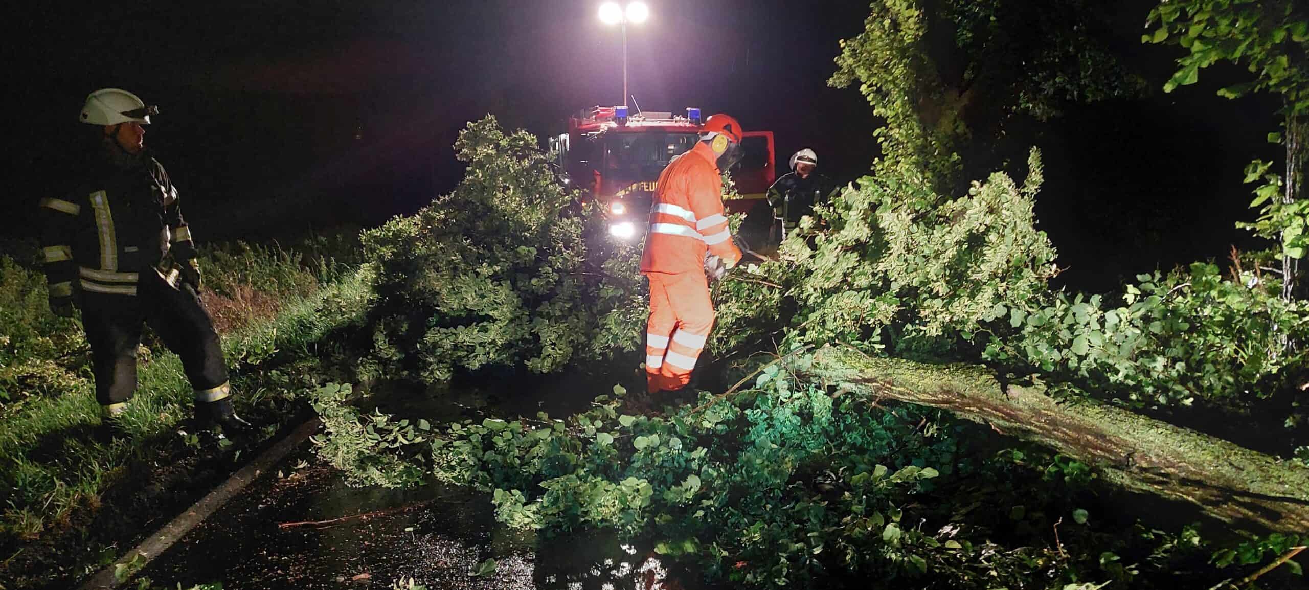 Feuerwehrleute zersägen und räumen die Überreste eines im Sturm umgefallenen Baumes von der Straße.