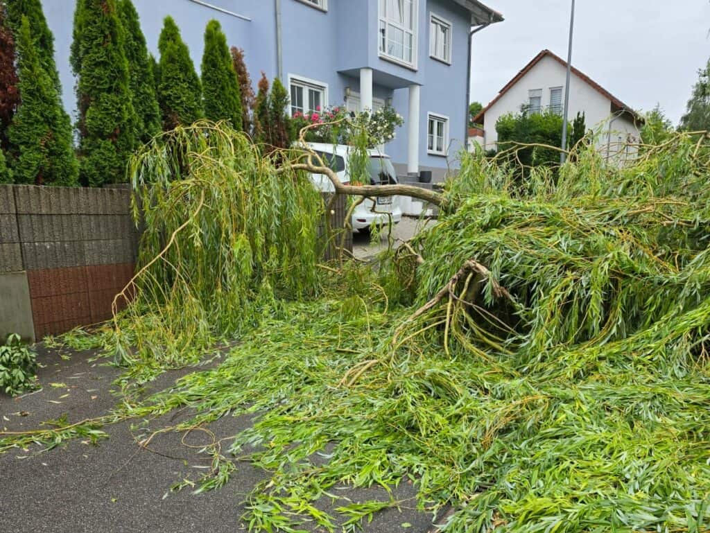 Ein abgebrochener Baum blockiert den Elsterweg