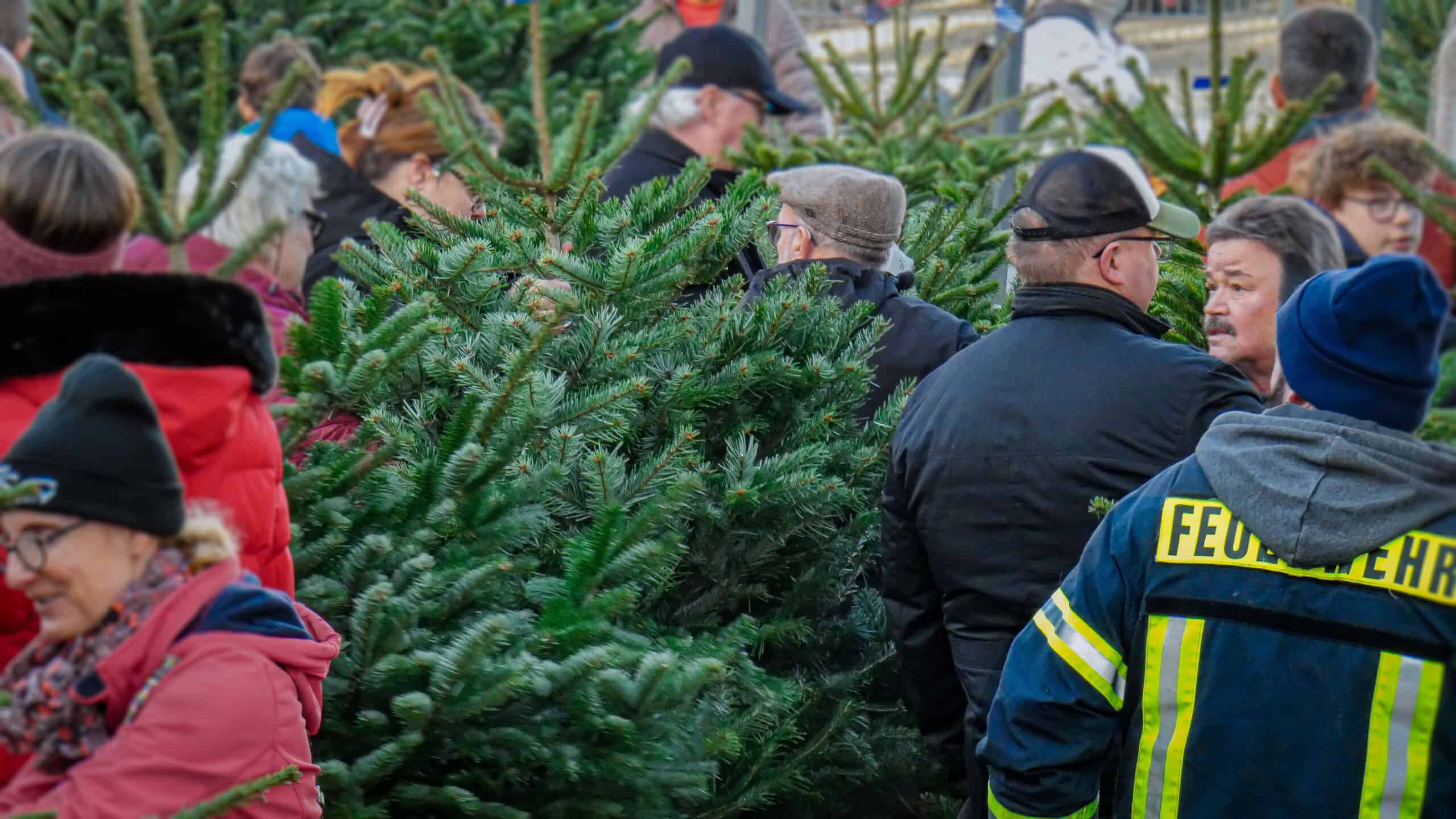 Menschen die sich auf dem Christbaumverkauf der Feuerwehr Alzey-Weinheim einen Baum aussuchen